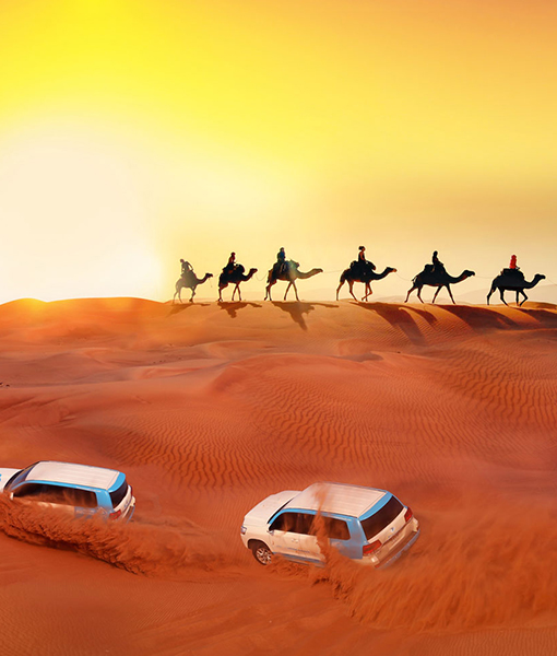Desert Safari