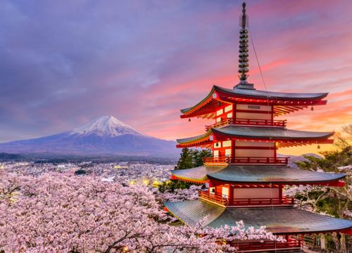 Japan & South Korea