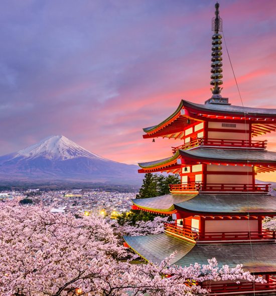 Japan & South Korea