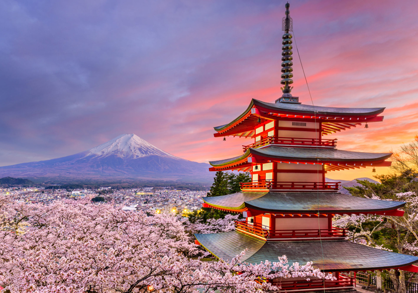 Japan & South Korea